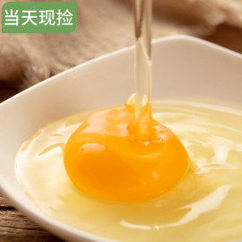 农家鸡蛋 营养新鲜 10斤起售